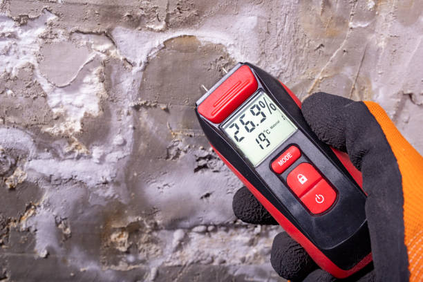Best Certified Mold Removal  in Jackson, WI